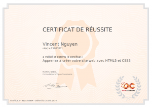 certif HTML et CSS Vincent Nguyen