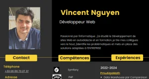 Dev Web Vincent nguyen Image